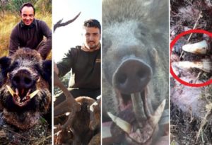 Los 10 'cronicones' de caza más leídos por los cazadores españoles durante 2019 en Jara y Sedal
