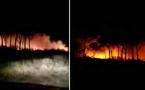 Cazadores de Cádiz evitan una tragedia medioambiental al guiar a bomberos y Seprona hasta un incendio
