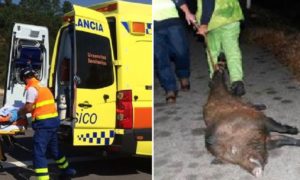 Herida una mujer en una colisión múltiple causada por un jabalí en Galicia