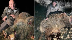 Caza un jabalí de 218 kilos tras 25 noches de espera en Valladolid