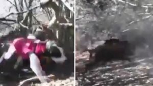 Un cazador salva a un perro del jabalí que lo atacaba en un lance de alto voltaje