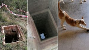 Un cazador hace un llamamiento para sellar un pozo en el que casi muere su perra