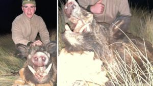 Un joven de 17 años caza un jabalí de ensueño: «era un monstruo»