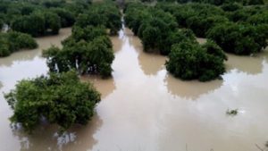 El Gobierno rebaja el IRPF para agricultores y ganaderos afectados por daños climáticos en 2019