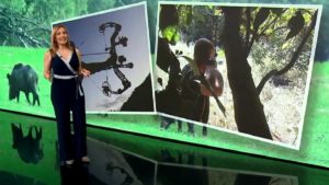 La caza vuelve a ser protagonista en Antena 3 Noticias con este proyecto de la FAC