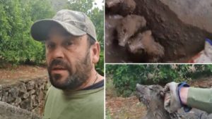 Un cazador rescata a tres crías de jabalí y 'dedica' el gesto a los animalistas