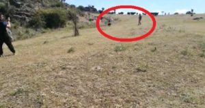 Un jabalí ataca a un cazador en el campeonato de Extremadura de tiro con arco