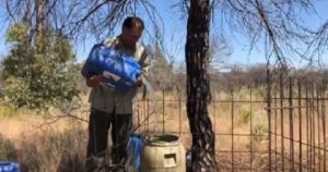 Los cazadores llevan agua y comida a los animales de Doñana (y lo pagan de su bolsillo)