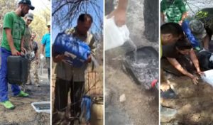 Cazadores de toda España se vuelcan con la fauna llevándole agua y comida