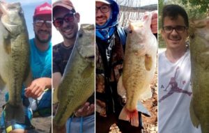 Black bass: 10 monstruos pescados en pantanos españoles la pasada primavera