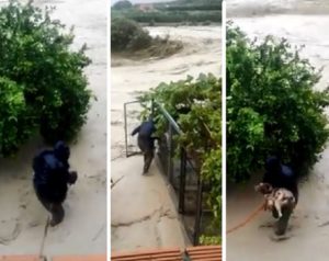Un cazador se juega la vida para salvar a su perro en las inundaciones de Valencia