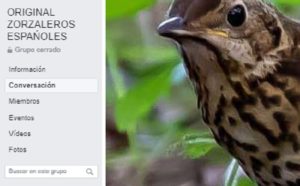 Zorzaleros Españoles vuelve a Facebook con un nuevo grupo tras la censura del anterior