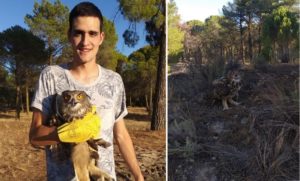 Un cazador rescata a un búho malherido en Valladolid: «Espero que se recupere muy pronto»