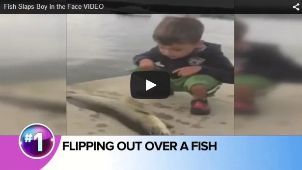Un pez propina una buena 'bofetada' a este niño