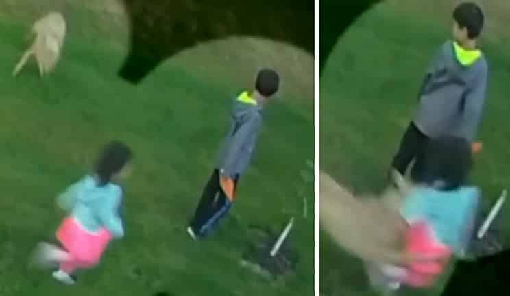 Un coyote se cuela en el patio de una casa y ataca a una niña de 2 años