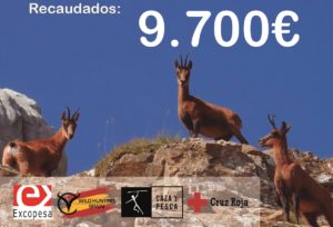 La Subasta Solidaria recoge cerca de 10.000€ en favor de Cruz Roja España