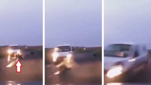 Graba cómo otro coche choca contra un jabalí y a punto está de provocar un terrible accidente