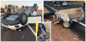 Un cazador sufre un grave accidente de coche y pierde a su perra tras salir despedida