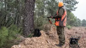 Esta es la situación de la caza en toda España antes del fin de semana