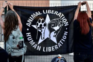 Francia condena a prisión a dos animalistas veganos por atacar carnicerías