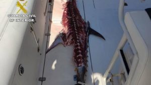 Pesca un atún rojo en Denia y ahora podría pagar hasta 10.000 euros de multa