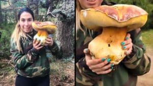 Una joven coge una seta gigante en Zamora: un boletus de casi 4 kilos