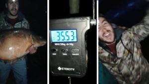 Pescan una monstruosa carpa de más de 35 kilos en Orellana