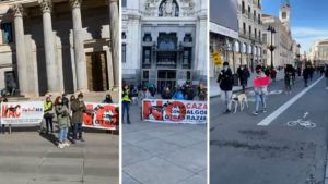 Estrepitoso fracaso de las manifestaciones contra la caza en toda España