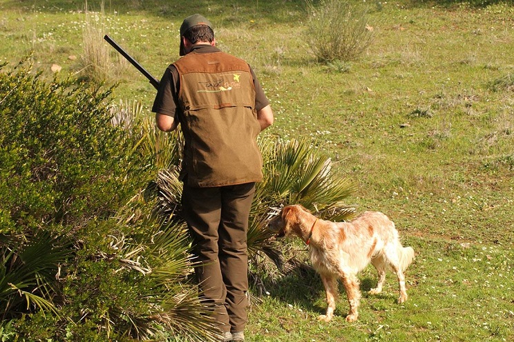 La caza con perros, la de acuáticas, la cetrería y el reclamo podrían prohibirse en Andalucía