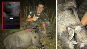Caza un enorme jabalí de 122 kilos mientras un ciervo presencia la escena y su padre graba el lance