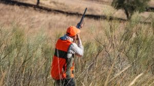 La caza en Castilla-La Mancha, amenazada por el nuevo reglamento
