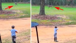 Un niño 'rececha' un ciervo con su juguete, el emotivo vídeo de un futuro cazador