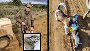 Caza a un conejo con una inusual dentadura en Zamora: «No he visto nada igual en mi vida»