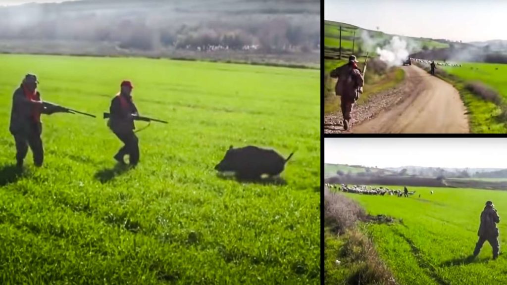 El vídeo de los dos cazadores abatiendo al jabalí en el peligroso lance. © YouTube