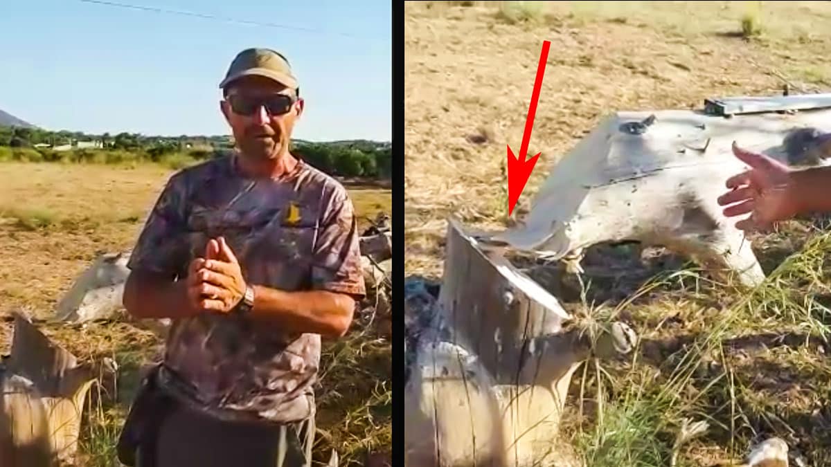 Nuevo ataque contra un cazador: destruyen su puesto de palomas la víspera de la media veda