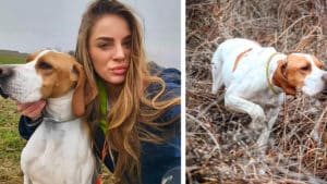 Las muestras de los perros de esta joven cazadora enamoran en Instagram