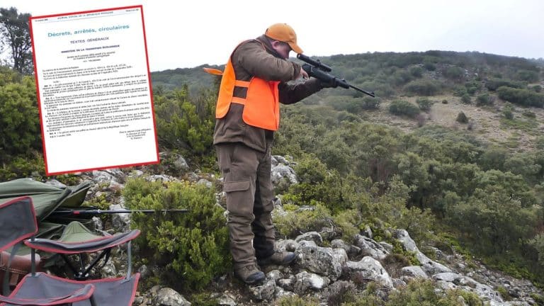 batida jabalíes cazador apunta examen Francia