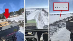 Cazadores de Albacete compran 5.000 kilos de comida para salvar de la inanición a la fauna tras la nevada