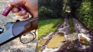 Europa quiere multar a los cazadores que lleven cartuchos de plomo junto a un simple charco de agua