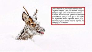 'Invita' a los animalistas a ayudar a la fauna en la nieve y 10.000 personas comparten su mensaje