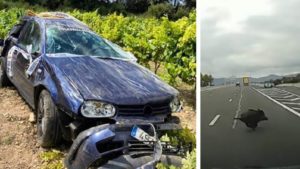 Un conductor destroza su coche al esquivar un jabalí en Barcelona