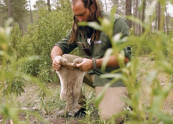 Cómo cocinar conejo ? en su propia piel. Técnica de supervivencia