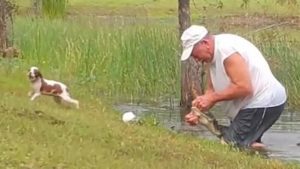 Un hombre rescata a su perro de la boca de un caimán que se lo estaba comiendo