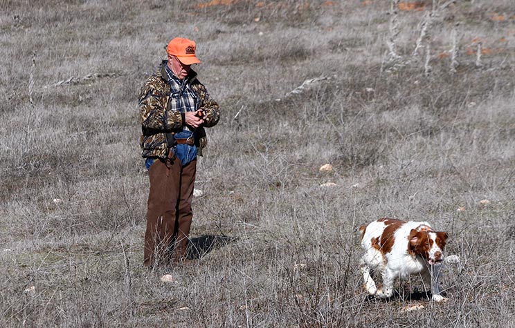 un cazado utiliza el collar electrico durante el entrenamiento de su perro