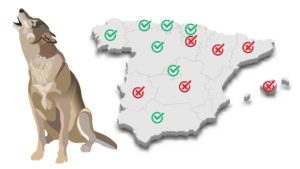 Varias comunidades donde nunca habrá lobo votaron a favor de prohibir su caza (Melilla, Baleares, Canarias...)