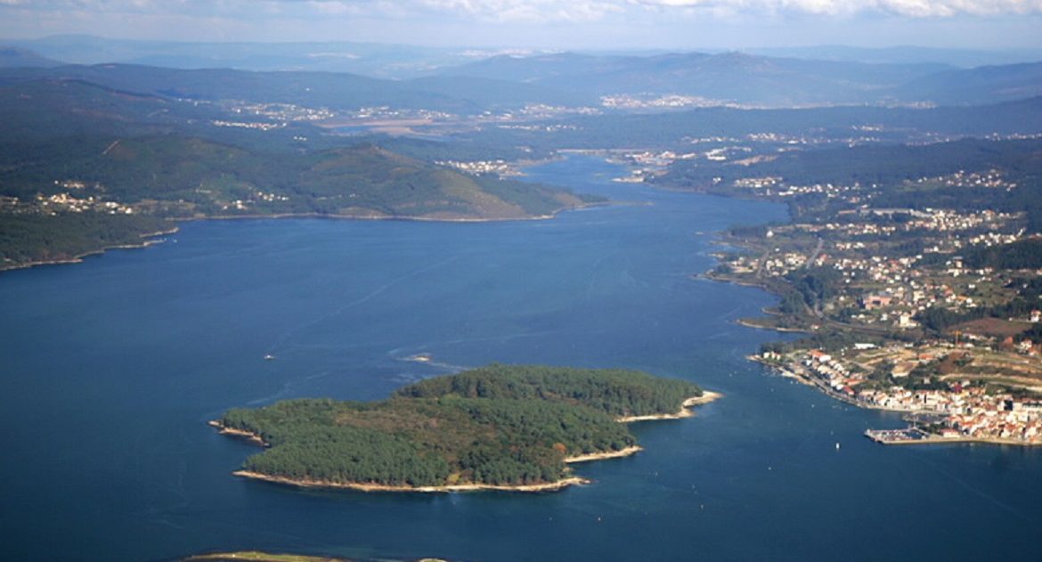 Los jabalíes ponen en peligro la biodiversidad de una isla en Galicia