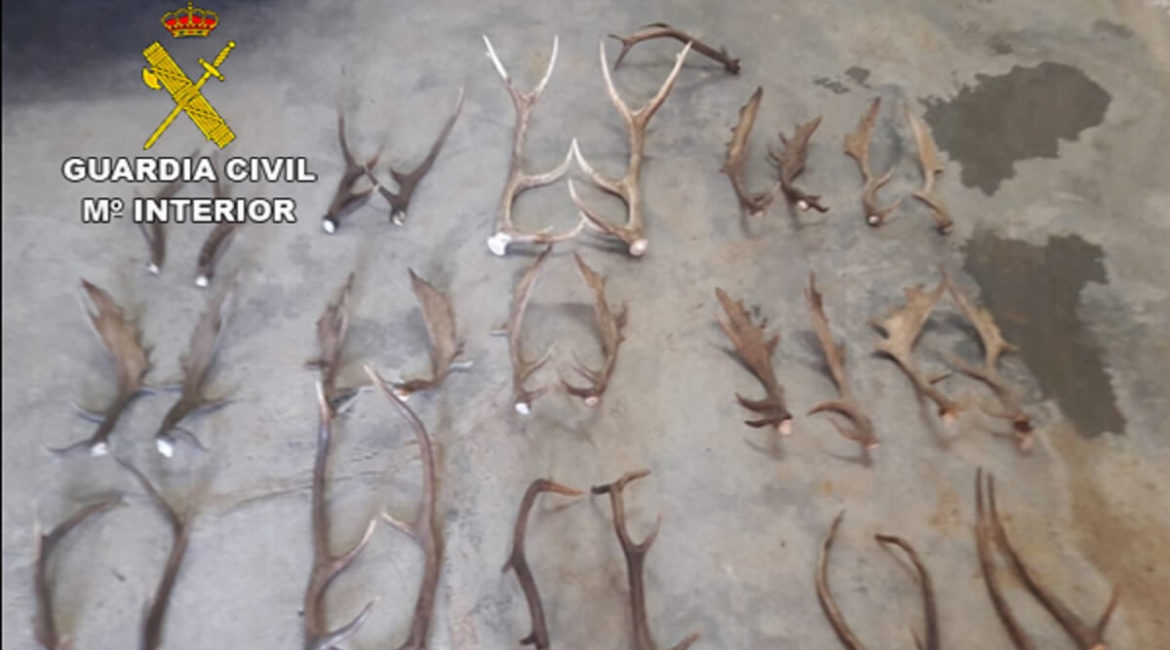 Detenidos cinco individuos por robar en fincas de caza aprovechando la cuarentena