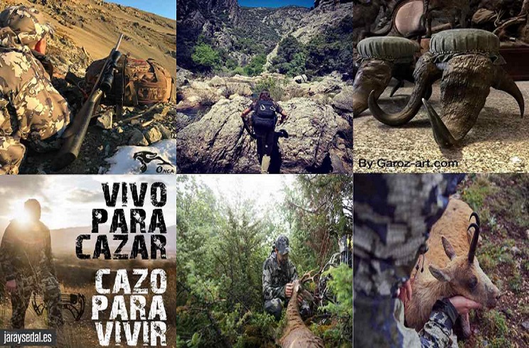 Veinte cuentas de Instagram sobre caza que no puedes perderte