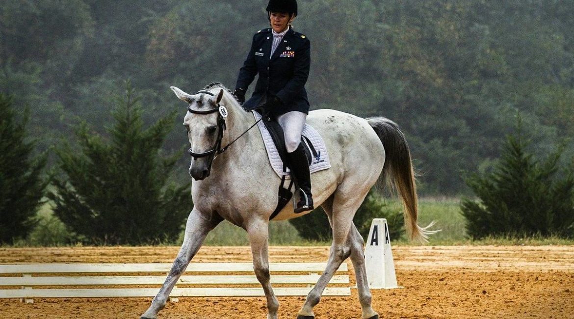 La equitación y el caballo concurrirán a Caza y Campo – Madrid