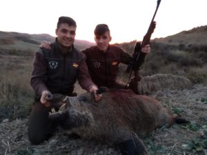 Dos jóvenes hermanos que iban a cazar corzas abaten un magnífico jabalí en Burgos